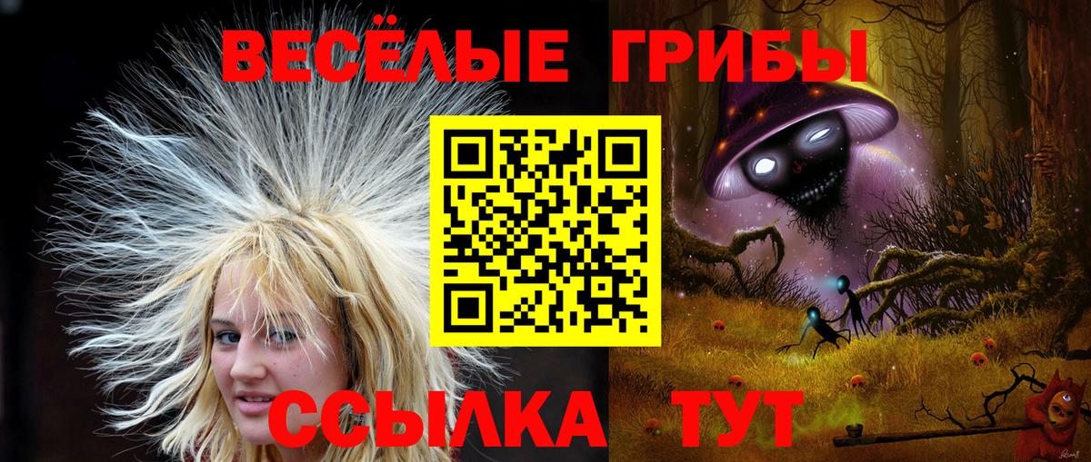 Галлюциногенные грибы мицелий  купить  цена  Санкт-Петербург  Вход с VPN 